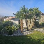 WhatsApp Image 2025-03-24 at 16.37.40